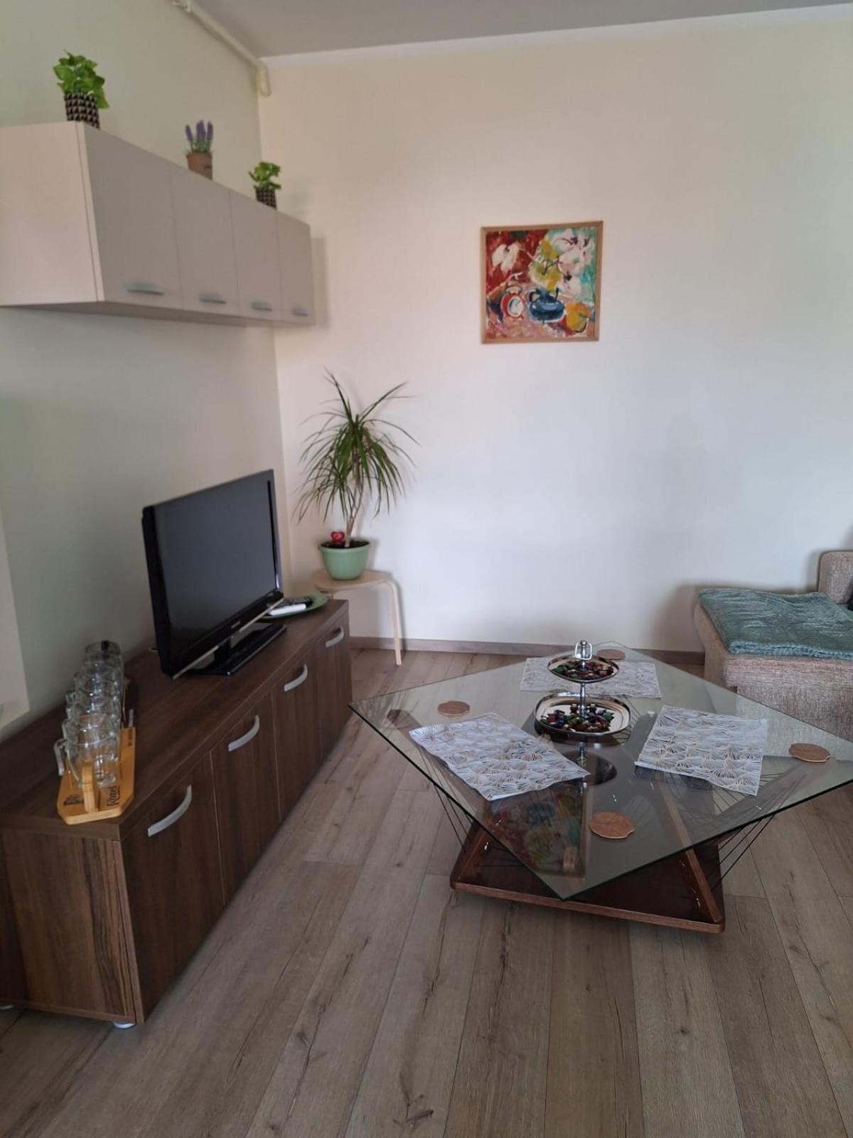 Mirvana Serenity Apartment Timisoara