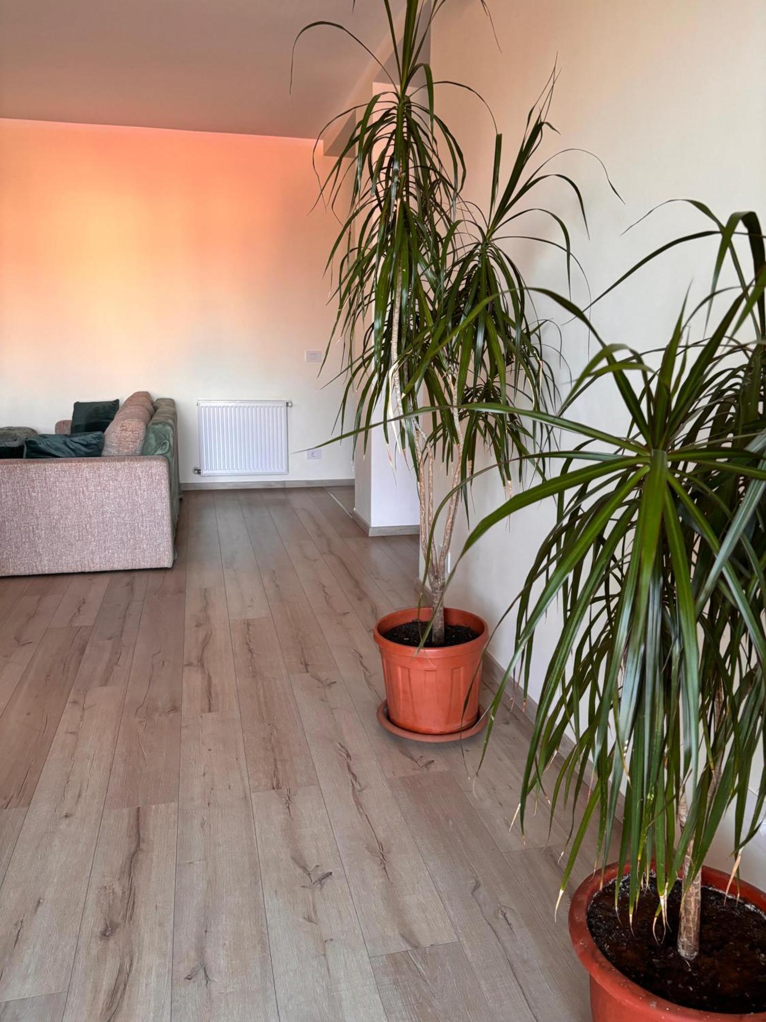 Mirvana Serenity Apartment *